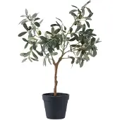 House Nordic Olive Artificial Plant, Green, H:61 Cm - Green - 36.5X22.5XH61CM