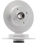 Delphi Jarrulevy (1kpl) BG9410RSC