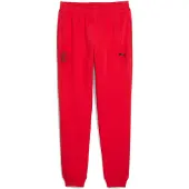 Puma Ac Milan Essentials Hikihousut