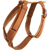 Kentucky Active Velvet Koiran Valjaat