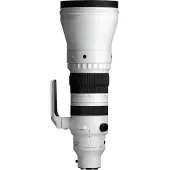 Sigma 300-600mm f/4 DG OS Sports Sony FE