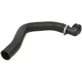 THERMOTEC Jäähdyttimen letku DWD031TT