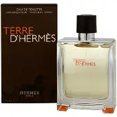 Hermès Paris Terre d'EDT miehille 100 ml