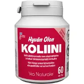 Kärkkäinen Hyvän Olon Koliini 60 kaps ravintolisä