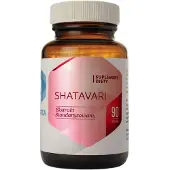 Hepatica Shatavari - 90 kapselia