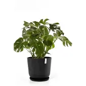 Ecopot's Oslo ruukku