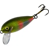 Nils Master Jäpittäjä 5,5 cm vaappu