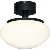 Aneta Lighting New August plafondi