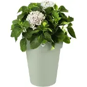 Elho top planter korkea ruukku
