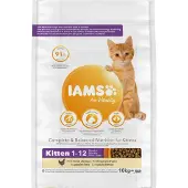 IAMS Kuiva kissanpenturuoka - CAT KITTEN CHICKEN, 10 kg