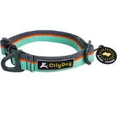 OllyDog Flagstaff Collar Surf S