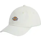 Dickies 6 Panel Logo Lippis