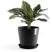 Ecopot's Amsterdam ruukku