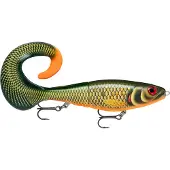 Rapala X-Rap Otus 17 cm Scaled Roach (SCRR)
