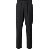Selected 190 Leroy Pleat Regular Tapered Fit Housut