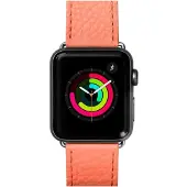 Laut milano coral 38mm