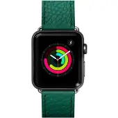 Laut milano emerald 38mm