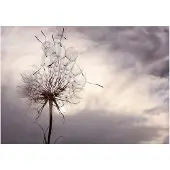 Artgeist Gentle Wind fototapetti