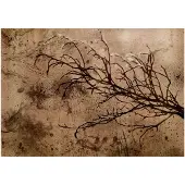 Artgeist Rickety Cherry Tree fototapetti