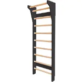 FitWood of Scandinavia TAIMI MINI wall bars