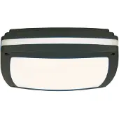 Aneta Lighting Quadro katto/seinäulkovalaisin