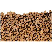 Artgeist Woodpile fototapetti