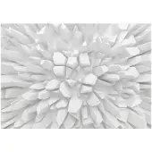 Artgeist White Dahlia fototapetti