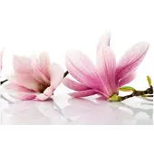 Artgeist Magnolia kukka fototapetti