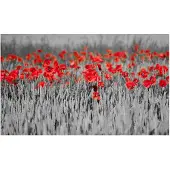 Artgeist Red unikot mustalla ja valkoisella pohjalla fototapetti