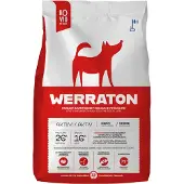 Werraton Aktiivi