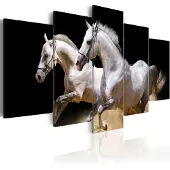 Artgeist Gallop- Freedom And Power taulusetti