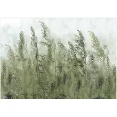 Kärkkäinen Artgeist Tall Grasses - Green fototapetti
