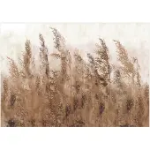 Kärkkäinen Artgeist Tall Grasses - Brown itseliimautuva fototapetti