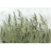 Kärkkäinen Artgeist Tall Grasses - Green fototapetti