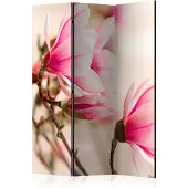 Artgeist Branch Of Magnolia Tree 3-osainen sermi