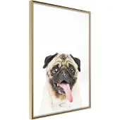 Artgeist Funny Pug juliste