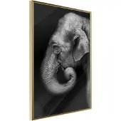 Artgeist Wisdom juliste