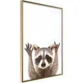 Artgeist Funny Racoon juliste