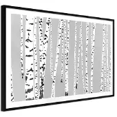 Artgeist Birch Wood juliste