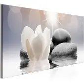 Artgeist Pebbles in Water taulu