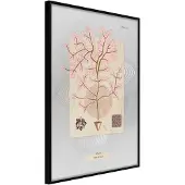 Artgeist Seaweed juliste