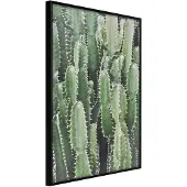 Artgeist Cactus Plantation juliste