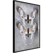 Artgeist Two Moths juliste