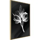 Artgeist White Plant juliste