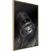 Artgeist Intelligent Gaze juliste