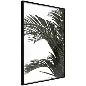 Artgeist Jungle Scent juliste