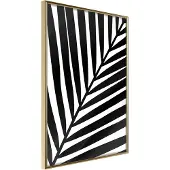 Artgeist Black Palm juliste
