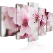 Artgeist Cherry- Gentleness And Beauty taulusetti