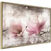 Artgeist Picked Magnolias juliste