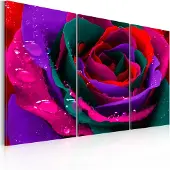 Artgeist Rainbow-Värinen Ruusu taulusetti